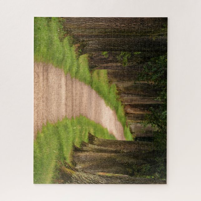 Beautiful Pathway Through the Trees Jigsaw Puzzle (Vertical)