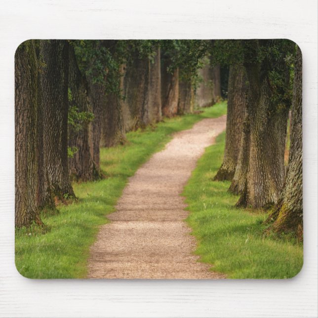 Beautiful Pathway Through the Trees Mouse Pad (Front)
