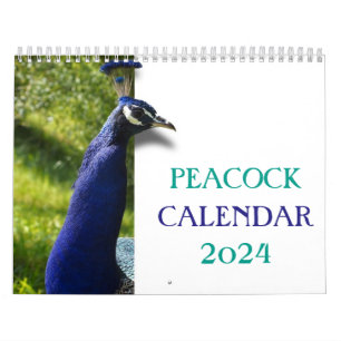 Beautiful Peacock 2024 Calendar