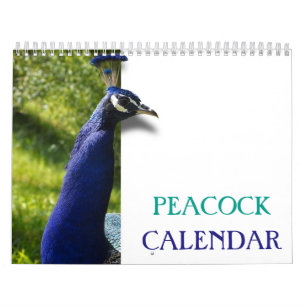 Beautiful Peacock 2025 Calendar