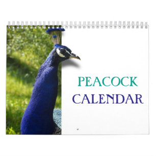 Beautiful Peacock 2027 Calendar