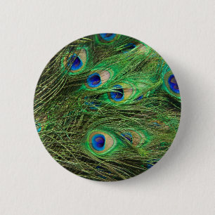 Beautiful Peacock 2 Inch Round Button