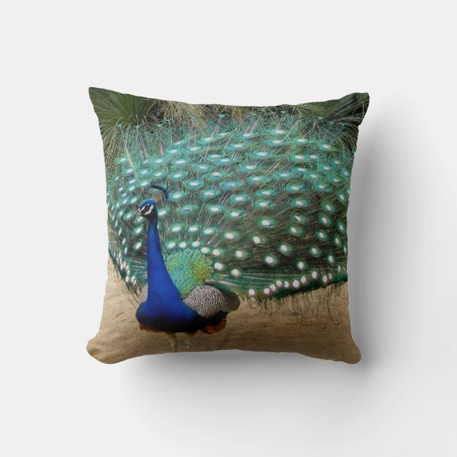 Beautiful Peacock American MoJo Pillows (Front)