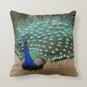 Beautiful Peacock American MoJo Pillows