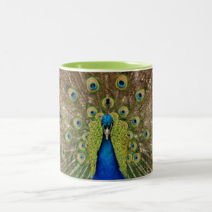 Beautiful peacock and feathers print mug