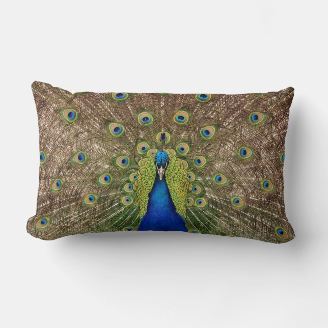 Beautiful peacock and feathers print pillow (Front)