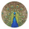 Beautiful peacock and tail feathers print