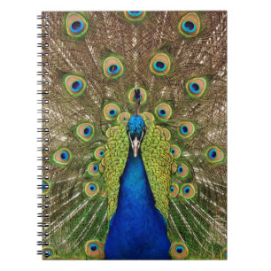 Beautiful peacock and tail feathers print notebook