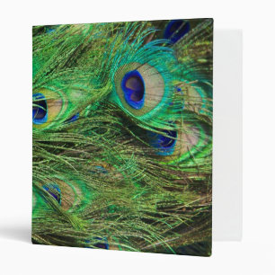 Beautiful Peacock Binder