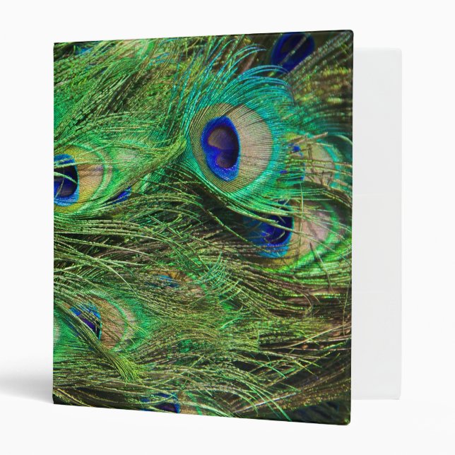 Beautiful Peacock Binder (Front/Inside)