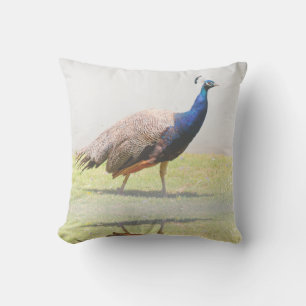 Beautiful Peacock Bird Birds Throw Pillow