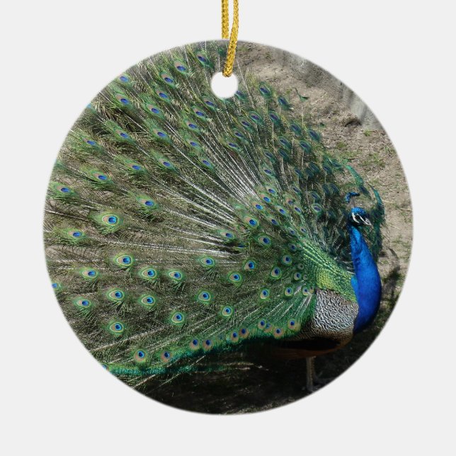 Beautiful Peacock Ceramic Ornament (Front)