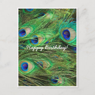 Beautiful Peacock Customizable Postcard