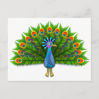 Beautiful Peacock Displaying Plumage Postcard