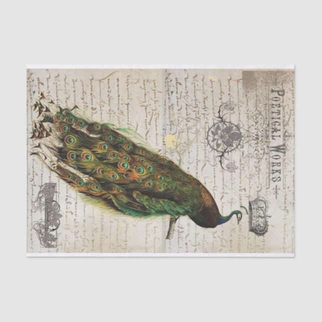 Beautiful Peacock Ephemera Collage Tissue Paper (Front)
