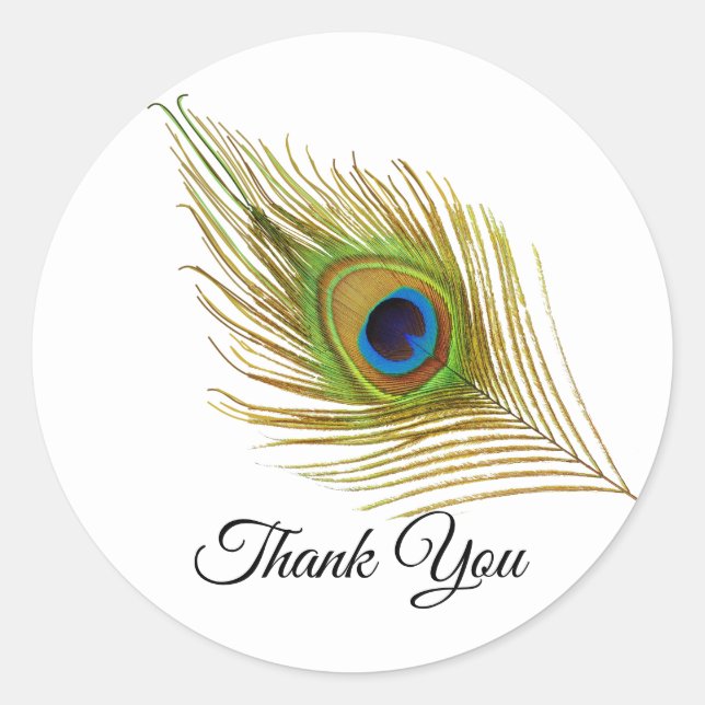 Beautiful peacock feather Thank You Classic Round Sticker (Front)