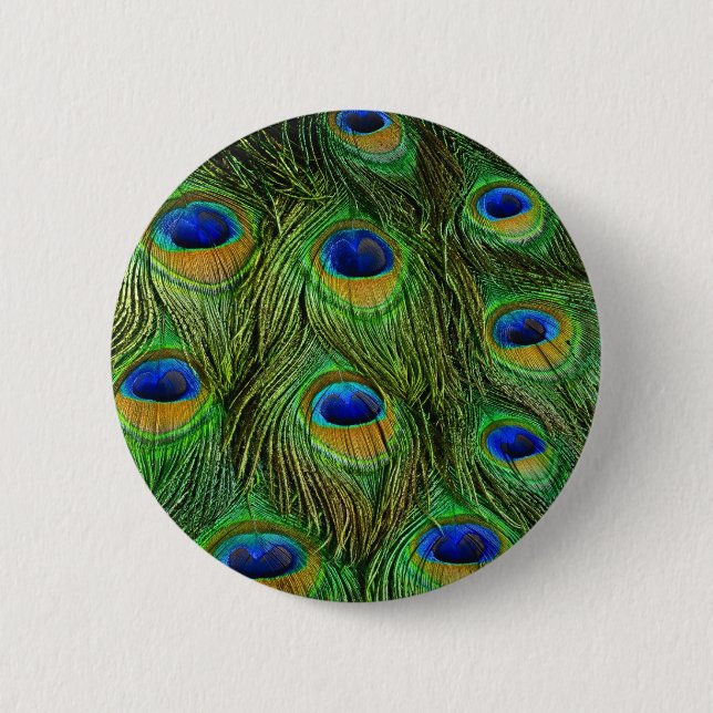 Beautiful Peacock Feathers 2 Inch Round Button (Front)