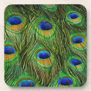 Beautiful Peacock Feathers Coaster