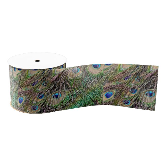 Beautiful Peacock Feathers Grosgrain Ribbon (Spool)