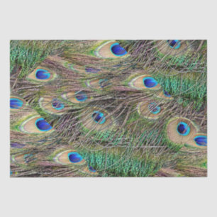 Beautiful Peacock Feathers Tissue Paper