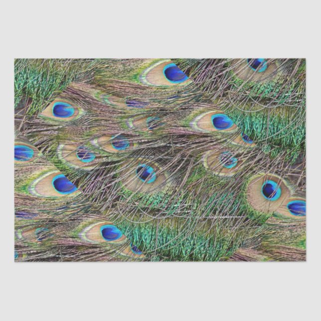 Beautiful Peacock Feathers Tissue Paper (Front)