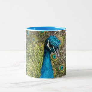 beautiful peacock image Two-Tone coffee mug