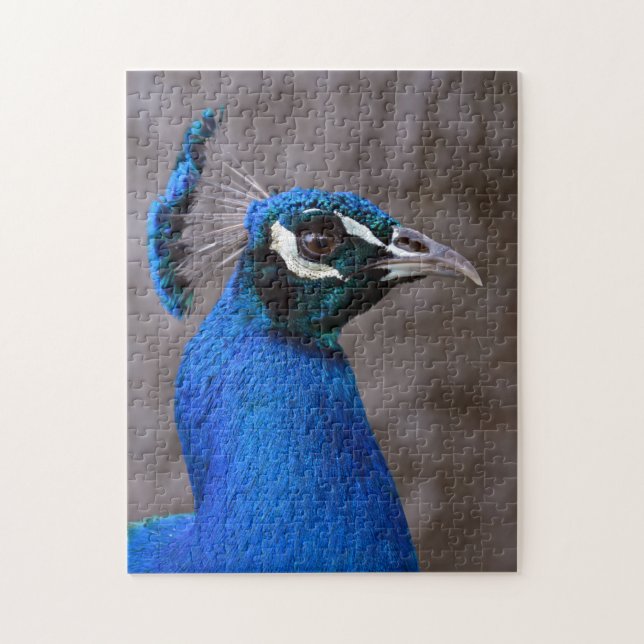 Beautiful peacock jigsaw puzzle (Vertical)