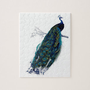 Beautiful peacock jigsaw puzzle