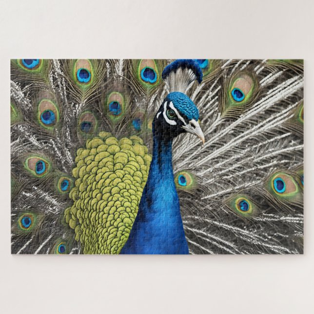 Beautiful Peacock Jigsaw Puzzle (Horizontal)