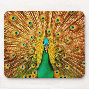 Beautiful Peacock Mouse Pad