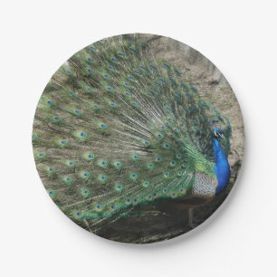 Beautiful Peacock Paper Plate