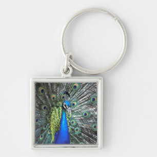 Beautiful peacock spreading colourful feathers keychain