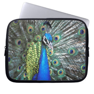 Beautiful peacock spreading colourful feathers laptop sleeve