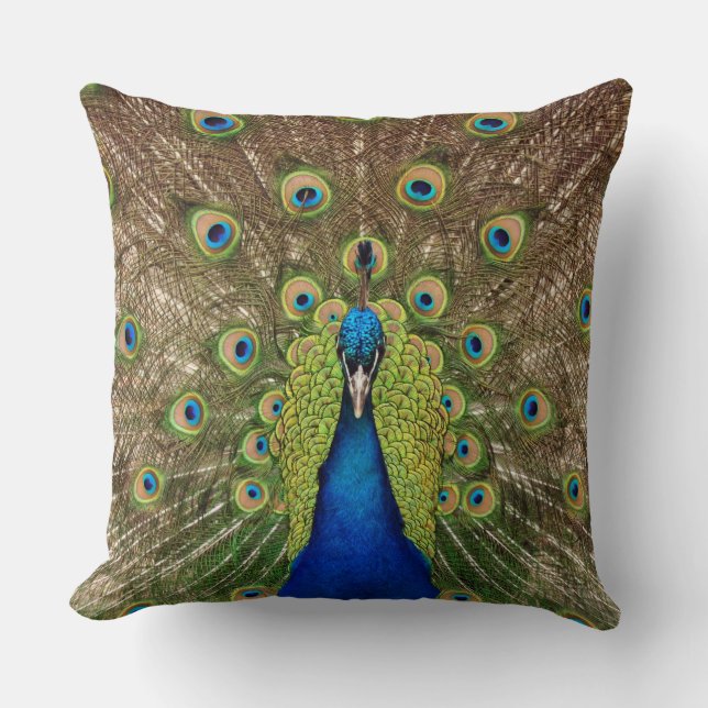 Beautiful peacock throw pillow (Front)