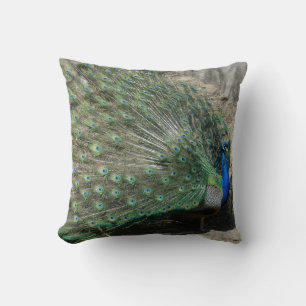 Beautiful Peacock Throw Pillow