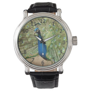 Beautiful Peacock Watch
