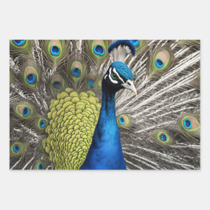 Beautiful Peacock Wrapping Paper Sheet
