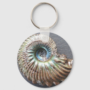 Beautiful pearly shelled ammonite fossil keychain