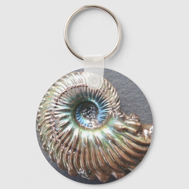 Beautiful pearly shelled ammonite fossil keychain (Front)