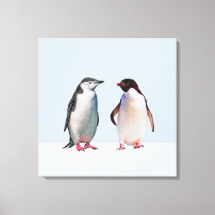 Beautiful  Penguin Couple on Light Periwinkle Blue Canvas Print