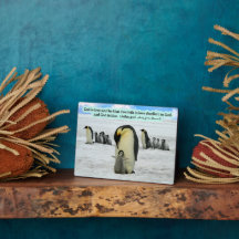 Beautiful Penguin Scripture Plaque 1 John 4:16