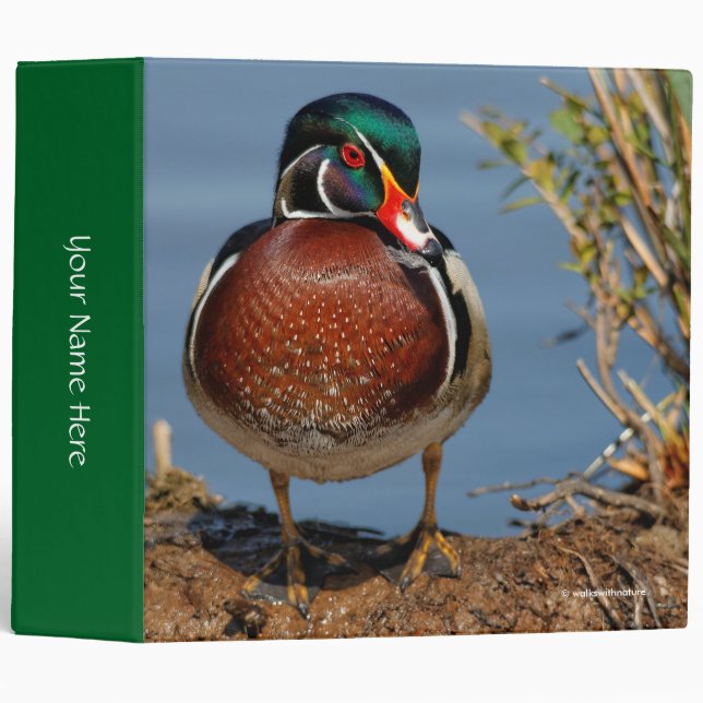 Beautiful Pensive Wood Duck in the Marsh Binder (Front/Spine)