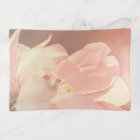 Beautiful Peony Flowers Pink Peonies