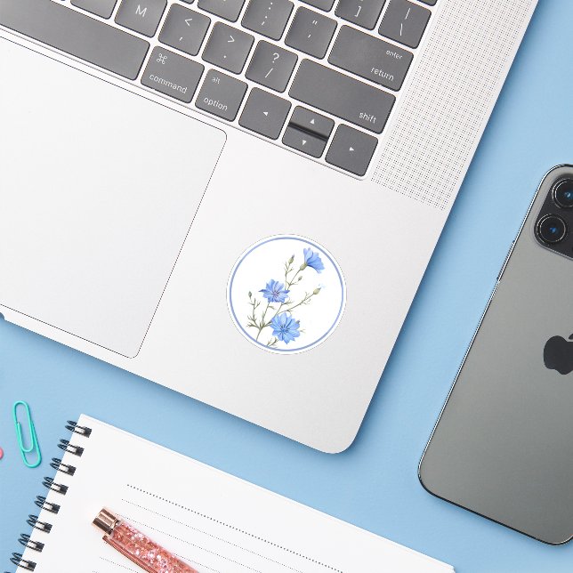 Beautiful Periwinkle Blue Chicory Flower Herb (Laptop w/ iPhone)
