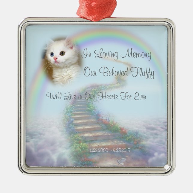 Beautiful Personalized Cat or Dog Memorial Metal Ornament (Front)