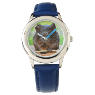 Beautiful Personalized Gold Agouti Guinea Pig Watch