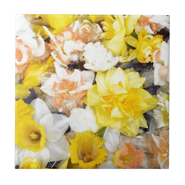 Beautiful photo spring daffodils floating on water tile (Front)