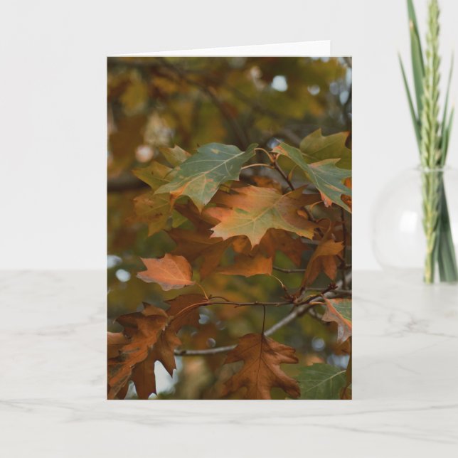 Beautiful photography foliage blank card (Front)