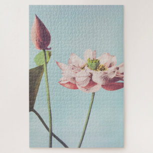 Beautiful photomechanical prints of Lotus Flowers Jigsaw Puzzle