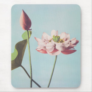 Beautiful photomechanical prints of Lotus Flowers Mouse Pad